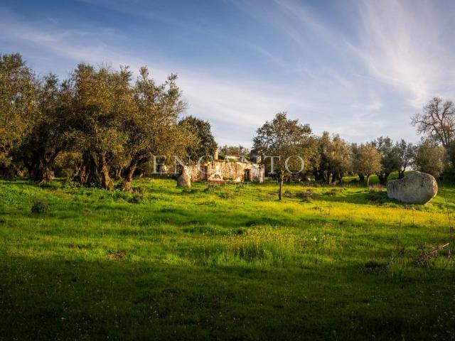 Vivenda venda em Montemor-o-novo, Évora