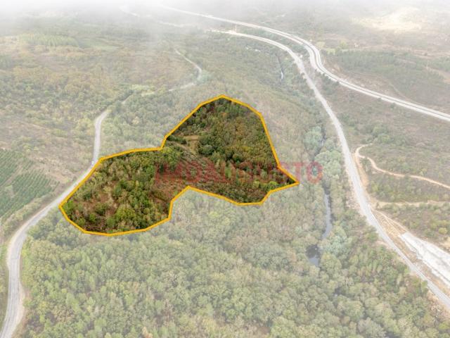 Quinta venda em Guarda, Celorico Da Beira