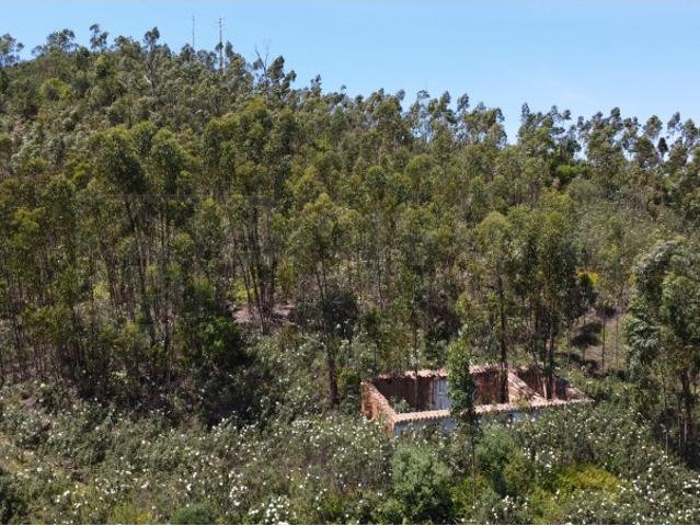 Quinta venda em Monchique, Faro