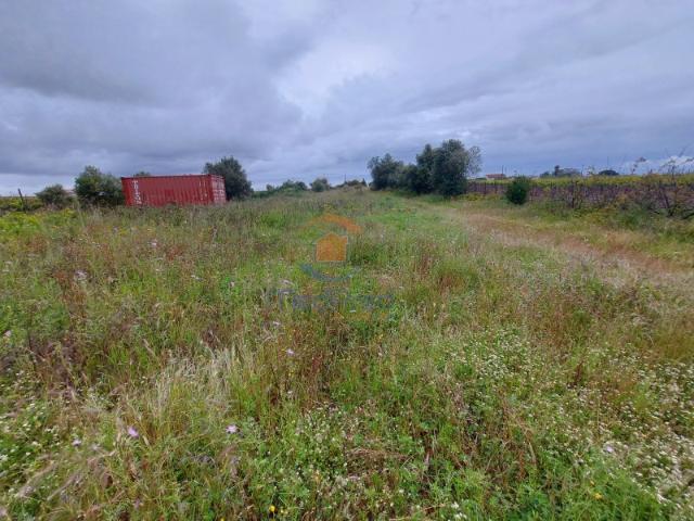 Quinta venda em Palmela, Setúbal