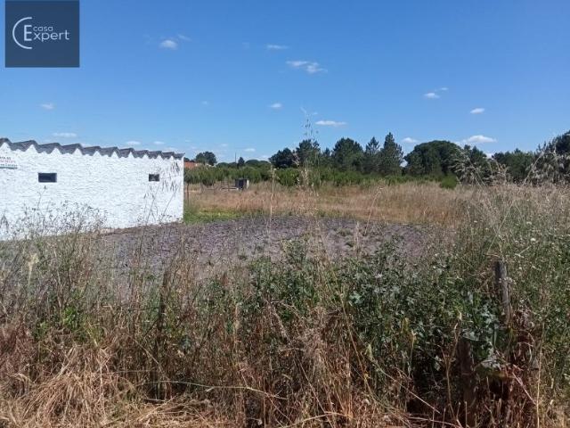 Quinta venda em Alcácer Do Sal, Setúbal