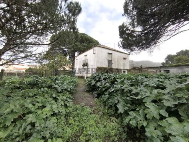Casa venda em Viana Do Castelo
