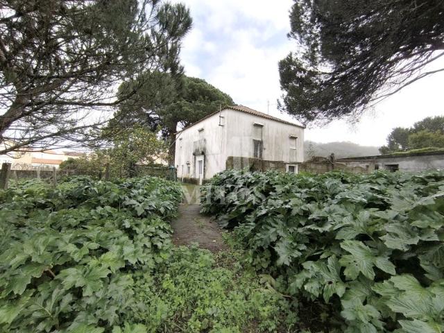 Quinta venda em Viana Do Castelo