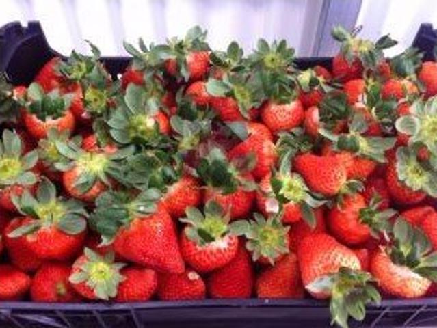 Vivenda venda em Figueira da Azóia, Soure