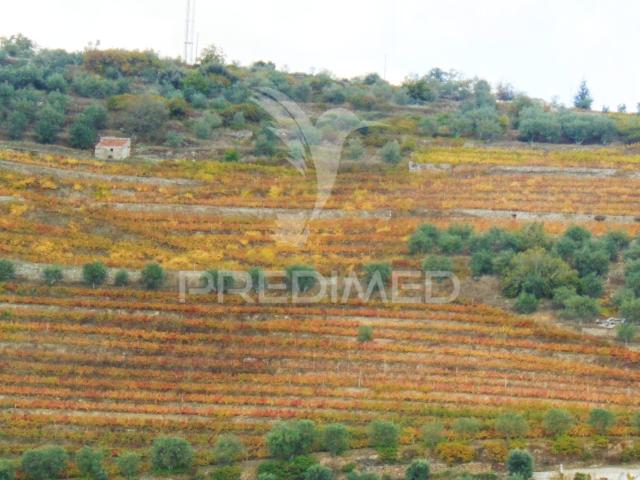 Quinta venda em Vila Real