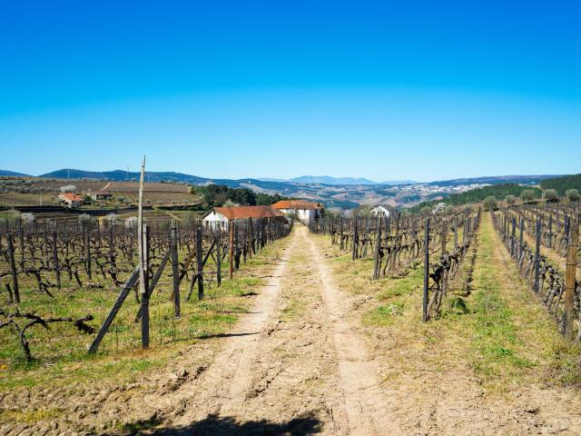 Quinta venda em Alijó, Vila Real