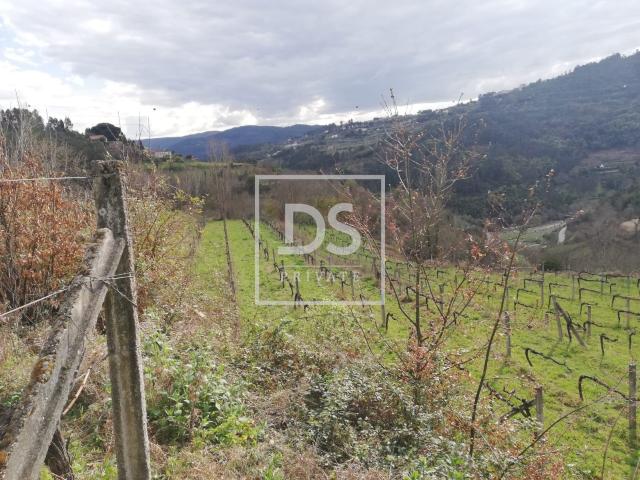 Terreno venda em Souselo, Viseu
