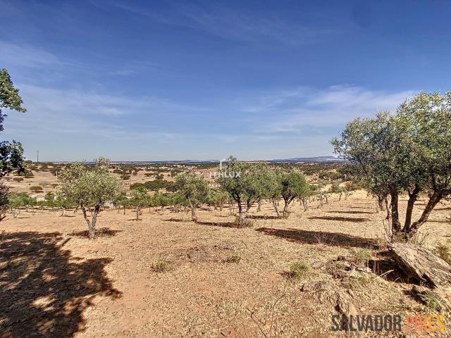 Quinta venda em Alandroal, Évora