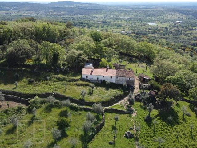 Quinta venda em Portalegre