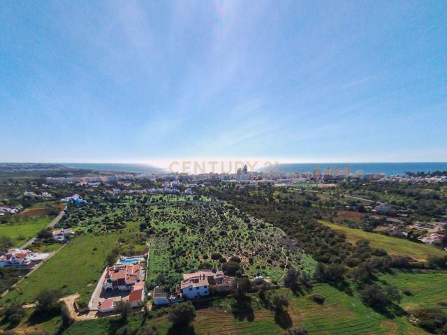 Quinta venda em Armação De Pêra, Faro