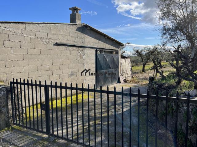 Casa venda em Castelo Branco
