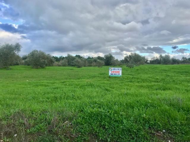 Terreno venda em Pego, Abrantes