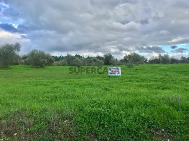 Terreno venda em Pego, Abrantes