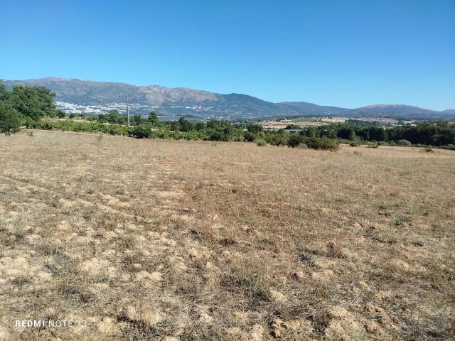 Terreno venda em Castelo Branco, Ferro