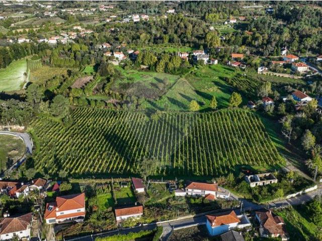 Vivenda venda em Canedo de Basto e Corgo, Celorico de Basto
