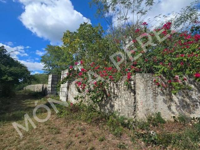 Quinta en venta en Motul, Yucatán