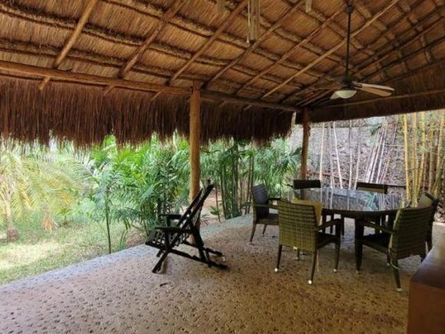 Quinta con hermosa vegetación para disfrutar o desarrollar