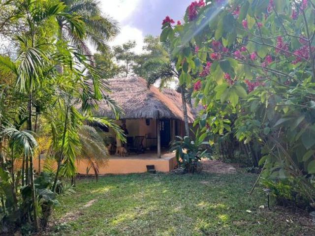 Quinta con hermosa vegetación para disfrutar o desarrollar