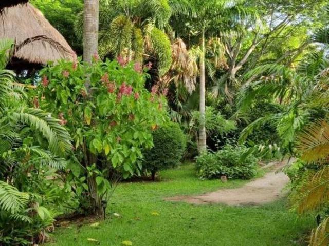 Quinta con hermosa vegetación para disfrutar o desarrollar