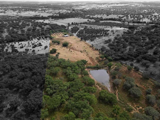 Quinta venda em Montemor-o-novo, Évora