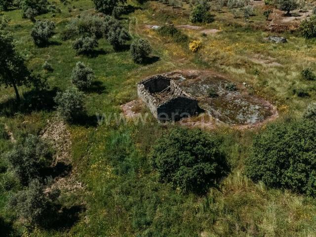 Quinta venda em Castelo Branco, Castanheira de Cima