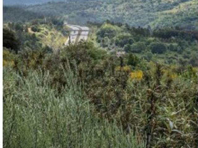 Casa venda em Guarda, Fornos De Algodres
