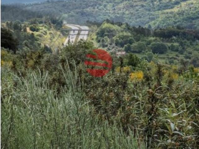 Quinta venda em Guarda, Fornos De Algodres