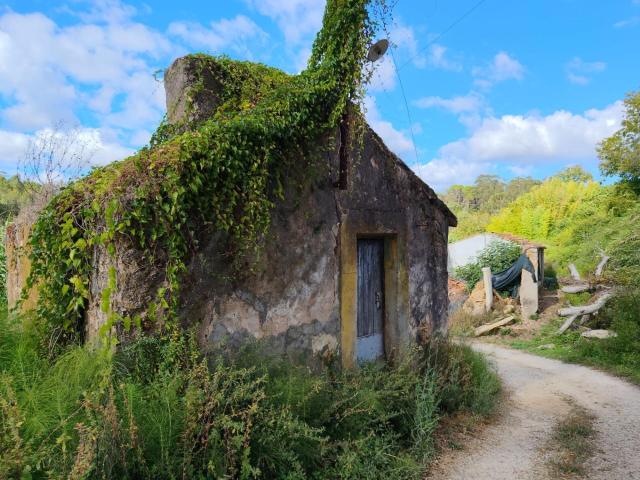 Quinta venda em Condeixa-a-nova, Coimbra