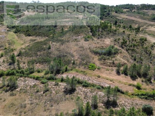 Terreno venda em Castelo Branco