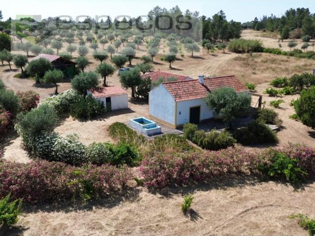 Quinta venda em Castelo Branco