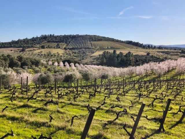 Terreno venda em Touça, Vila Nova de Foz Côa