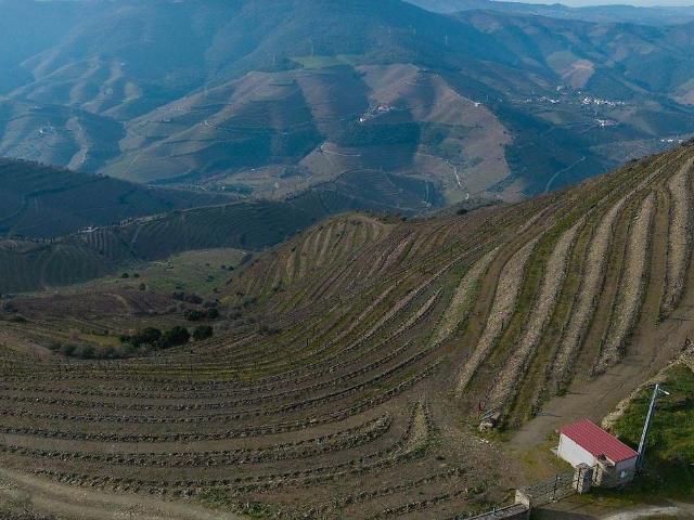Quinta venda em Nagoselo Do Douro, Viseu