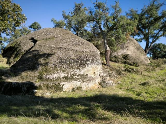 Casa venda em Castelo Branco