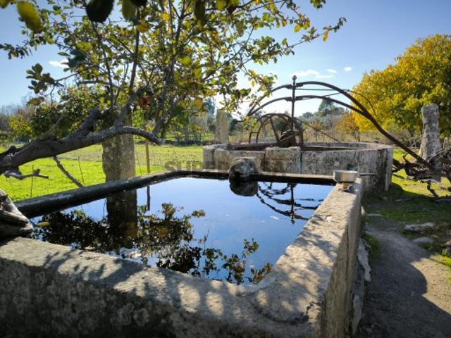 Casa venda em Castelo Branco