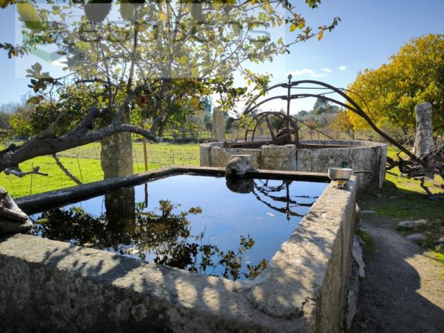 Quinta venda em Castelo Branco