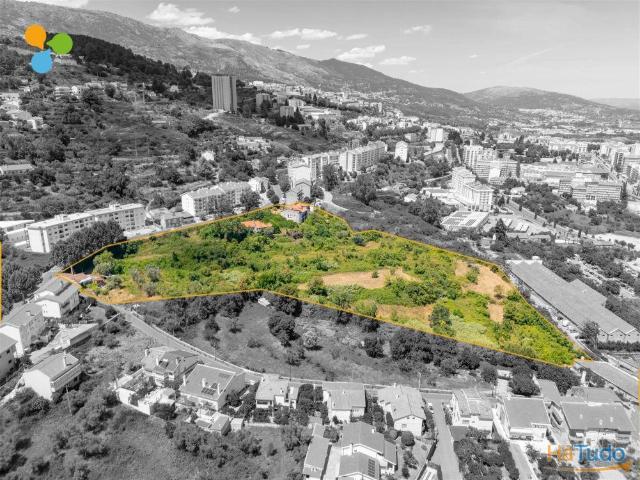 Terreno venda em Castelo Branco