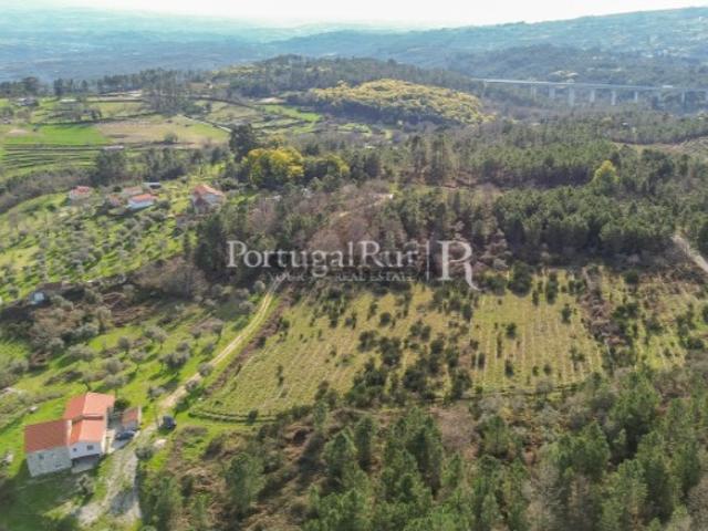 Casa venda em Fornos De Algodres