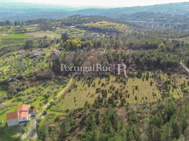 Quinta venda em Guarda, Fornos De Algodres