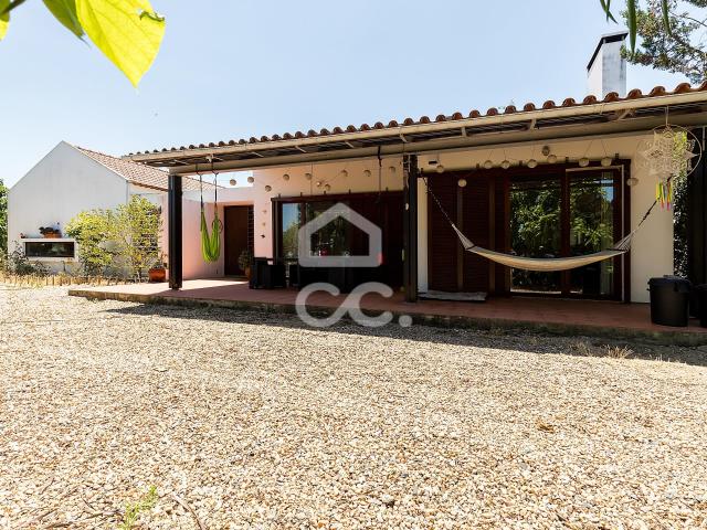 Quinta venda em Ladeiras Boavista, Mora