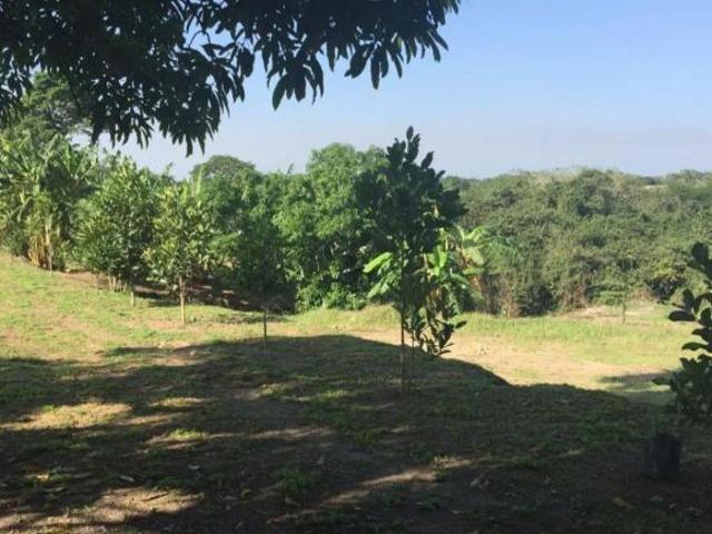Quinta en venta en Cotaxtla, Veracruz
