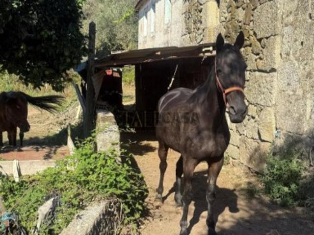 Casa venda em Ramadas, Vila Real