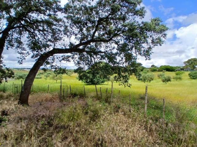 Casa venda em Santarém