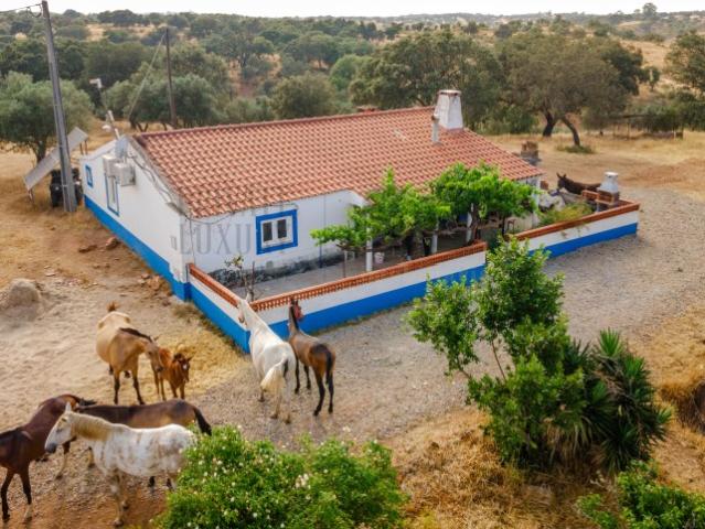 Quinta venda em Vila Verde de Ficalho, Serpa