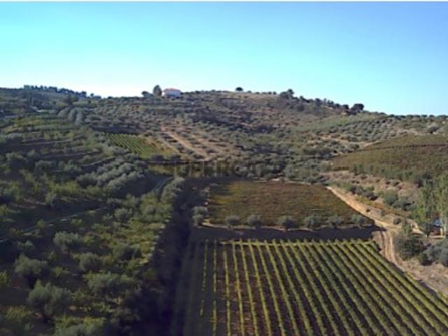 Terreno venda em Guarda, Mós