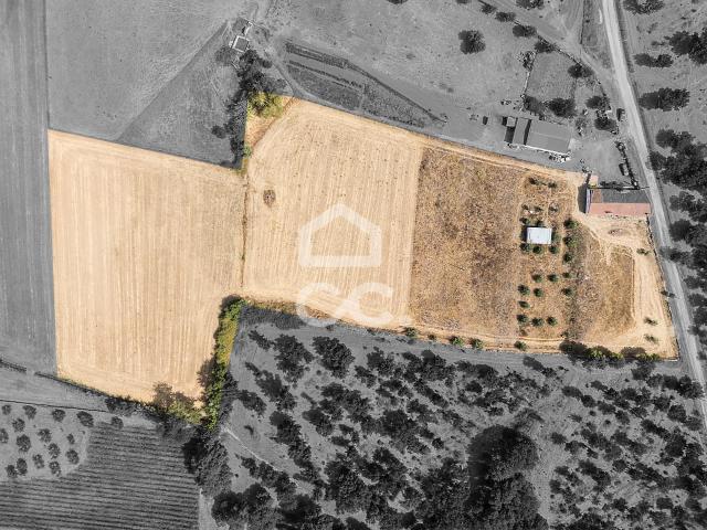 Quinta venda em Estremoz, Évora
