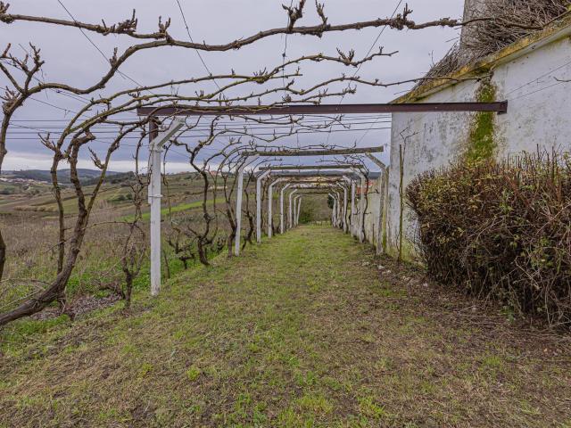 Vivenda venda em Cadaval, Painho