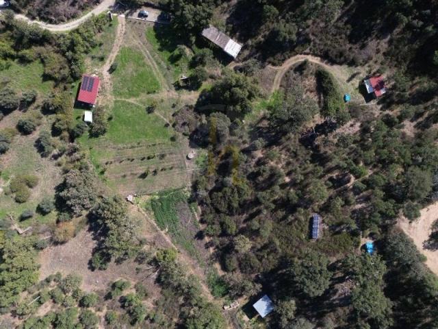 Quinta venda em Castelo Branco, Idanha-a-nova