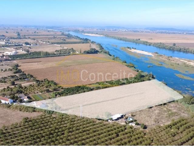 Quinta venda em Chamusca e Pinheiro Grande, Chamusca