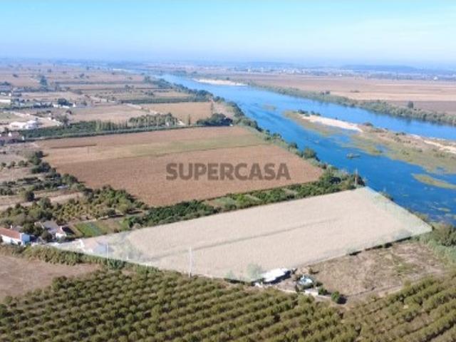 Casa venda em Chamusca e Pinheiro Grande, Chamusca