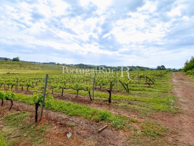 Quinta venda em Castelo Branco, Aldeia Nova Do Cabo